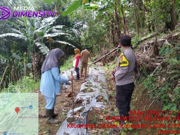 Bhabinkamtibmas Bersama Gapoktan Desa Gunung Wangun Kecamatan Cibeber Kabupaten Lebak Melaksanakan Penanaman benih Jagung Hibrida Kuartal ITh 2026