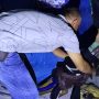 Aksi Brutal Geng Motor Di Cibodas Terungkap, 13 Pelaku Diamankan Usai Bacok Pelajar
